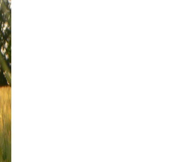 Nilan | Miljøvenlige ventilationsanlæg og varmepumper